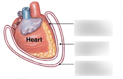 <p>middle</p>