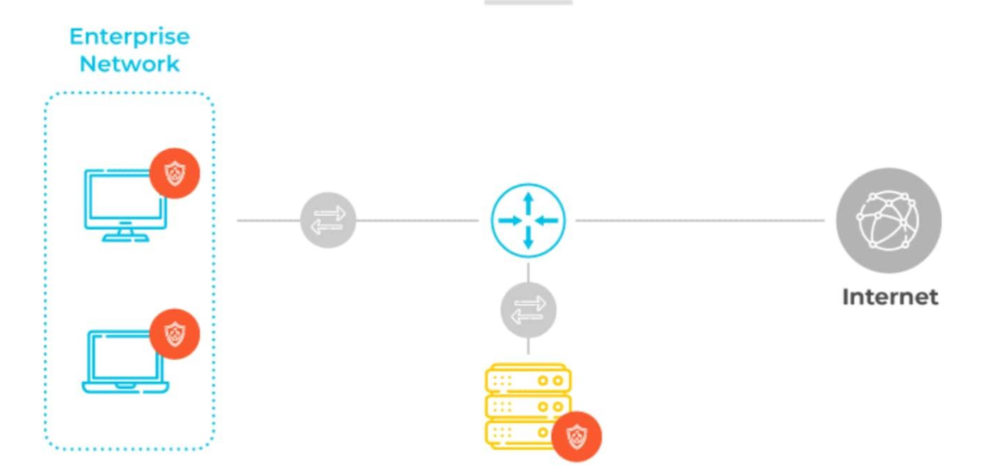 <p>Image Placeholder</p>