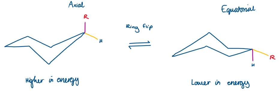<p>Axial substituents experience <strong>steric strain</strong>, specifically called <strong>1,3-diaxial interactions</strong>.</p><ul><li><p>These are <strong>repulsions</strong> between the axial substituent on carbon 1 and the <strong>two other axial hydrogens</strong> (or groups) on carbons 3 and 5 — both on the same side of the ring. <em>It’s like two groups bumping into each other in a crowded space.</em></p></li></ul><p>In contrast:</p><ul><li><p>An <strong>equatorial substituent</strong> points outwards and <strong>avoids those clashes</strong>, so it’s <strong>more stable (lower energy)</strong>.</p></li></ul><p></p>