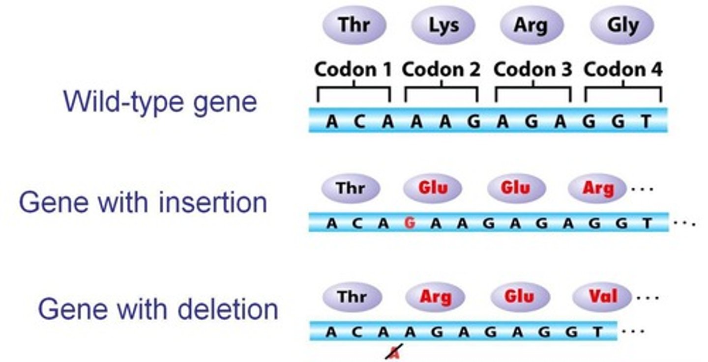 <p>Caused by insertions or deletions, altering reading frame.</p>