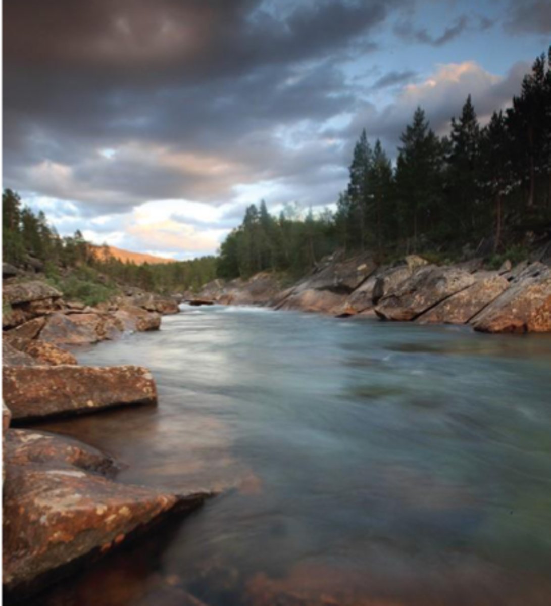 <p>characterized by flowing fresh water.</p>