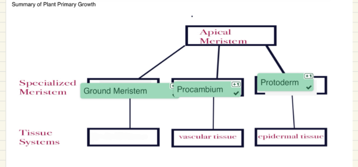 <p>What term is missing here?</p>