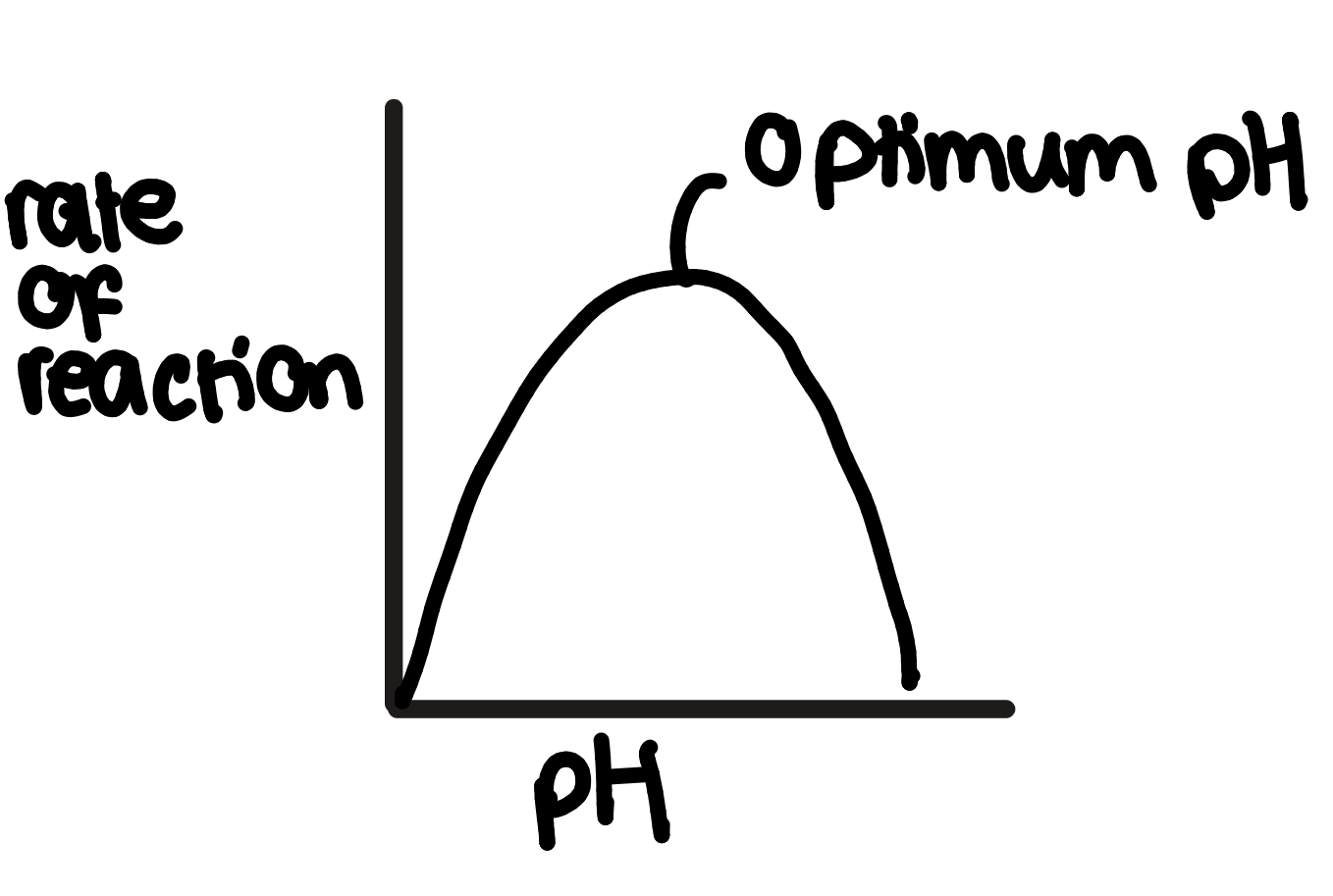 <ul><li><p>pH is the measure of H<sup>+ </sup>ions in a solution</p></li><li><p>the shape/arrangement of an enzyme’s active site is partly determined by the hydrogen and ionic bonds in the enzyme’s tertiary structure</p></li><li><p>the change in H<sup>+ </sup>ions affects this bonding so</p></li><li><p>outside of optimum pH the hydrogen and ionic bonds holding the enzyme’s tertiary structure together break so it unfolds and the enzyme denatures</p></li><li><p>so the active site is no longer complementary to the substrate, so enzyme-substrate complexes can’t form, reducing the rate of reaction</p></li></ul><p></p>