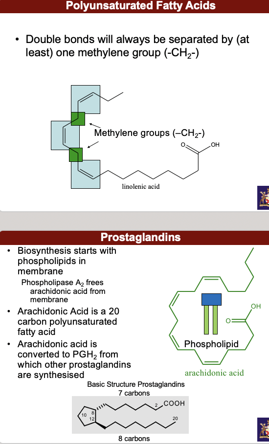 ^^**fatty acid**^^ chains contain even number of carbons (12-20) chains synthesized from 2 carbon units: the lipophilic hydrocarbon chain and the carboxylic acid.

**• Saturated** Fatty Acids Saturated with hydrogens, *i.e.* no double bonds (C=C) Linear chains with all bonds rotatable

**• Unsaturated** Fatty Acids **At least** one double bond in carbon chain Double bonds -normally *cis* configuration. Contain at least one double bond *cis* / *trans* isomerism possible – nearly always *cis*

• Old Nomenclature - Position of C=C closest to methyl end important. Use ω (omega) followed by the number of carbons from the methyl end  

**• Polyunsaturated** fatty acids - Double bonds will always be separated by (at least) one methylene group (-CH2-)

^^**Prostaglandins**^^

• Biosynthesis starts with phospholipids in membrane. Phospholipase A2 frees arachidonic acid from membrane

• Arachidonic Acid is a 20 carbon polyunsaturated fatty acid

• Arachidonic acid is converted to PGH2 from which other prostaglandins are synthesized
