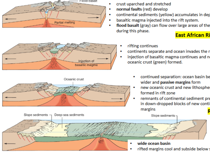 <ul><li><p>East African rift zone</p></li><li><p>Red sea</p></li><li><p>Atlantic ocean</p></li></ul><p></p>
