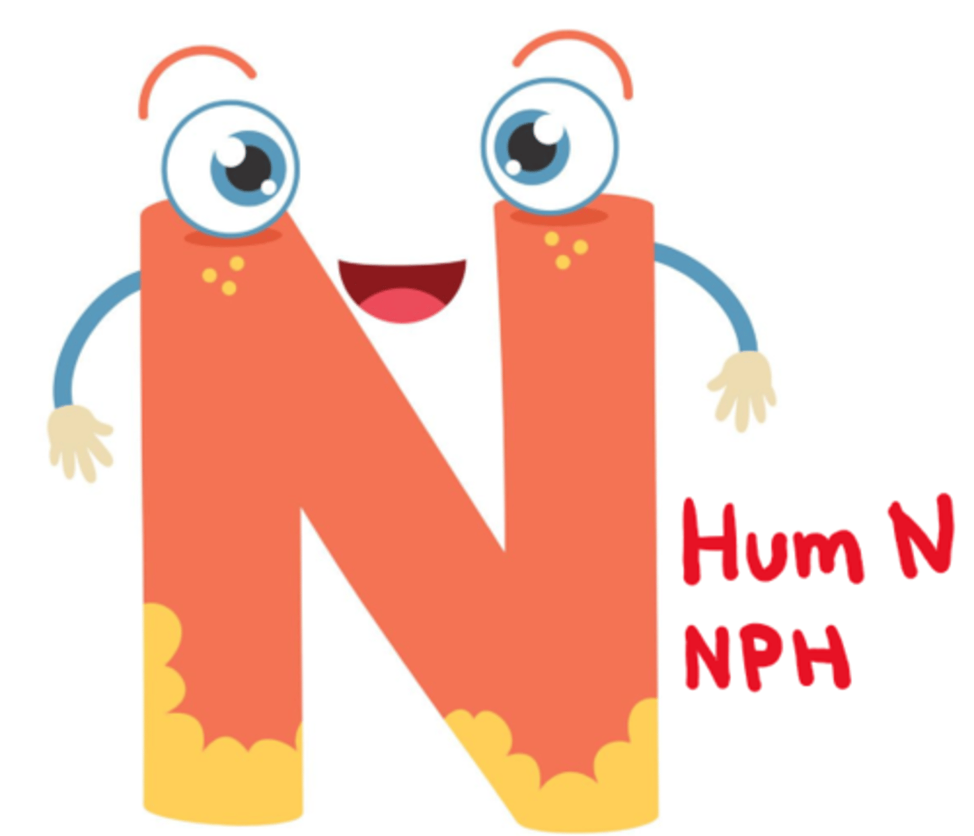 <p>- Humulin N</p><p>- Novolin ge NPH</p>