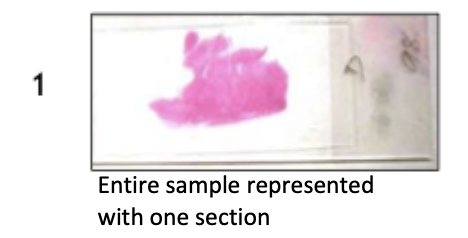 <p>Single full-face section</p>