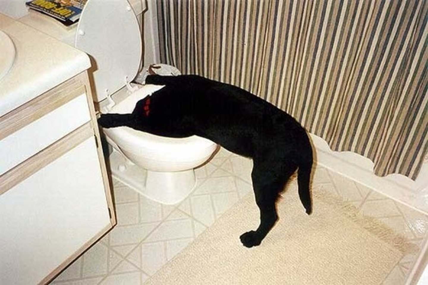 <p>мне очень плохо</p>