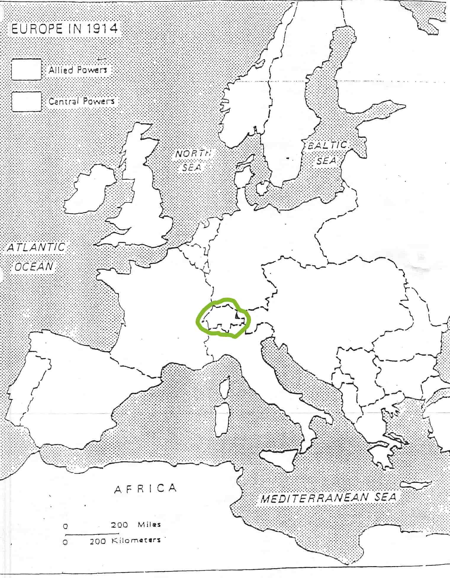 term image
