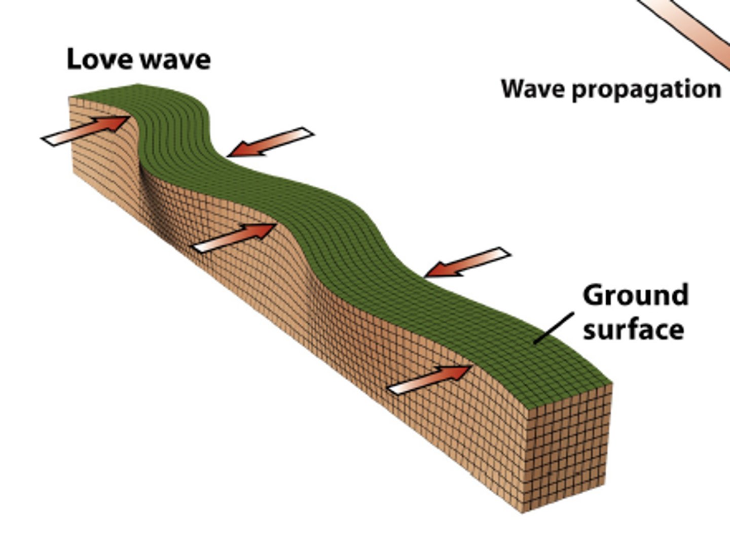 <p>A transverse surface wave where the particles oscillate perpendicular (and horizontally) to the direction of the wave.</p>
