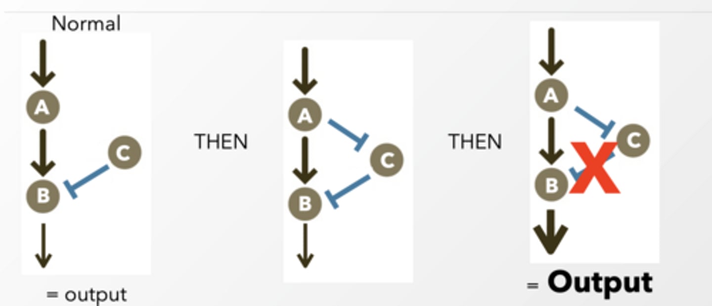 <p>self explanatory</p>