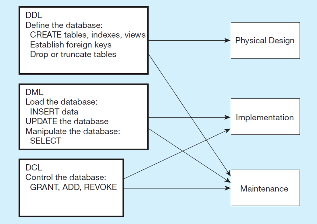 <p><span>SQL is composed of three sub-languages, DDL, DML, and DCL.</span></p><ul><li><p>DDL</p><ul><li><p>Used to create the metadata of the database (tables, attributes, data types, indexes, primary and foreign keys)</p></li><li><p>Language designers use to create the database </p></li><li><p>Physical Design and Maintenance</p></li></ul></li><li><p>DML</p><ul><li><p>Includes all query, update, insert, and delete statements</p></li><li><p>Implementation</p></li><li><p>Maintenance</p></li></ul></li><li><p>DCL</p><ul><li><p>Specify who can access the data and the types of data and operations these users are authorized to manipulate</p><ul><li><p>Implementation</p></li><li><p>Maintenance</p></li></ul></li></ul></li></ul><p></p><p></p>