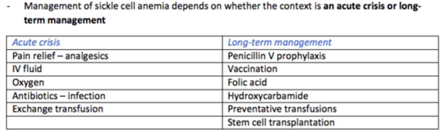 <p>Pain relief (analgesia)</p><p>IV fluids</p><p>Oxygen</p><p>Antibiotics for infections</p><p>Exchange transfusion</p>