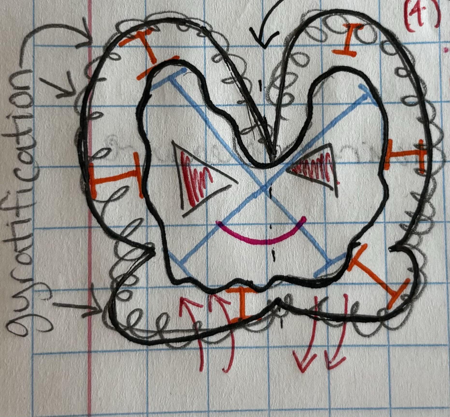 <p>areas of brain dens with cell bodies and dendrites</p>