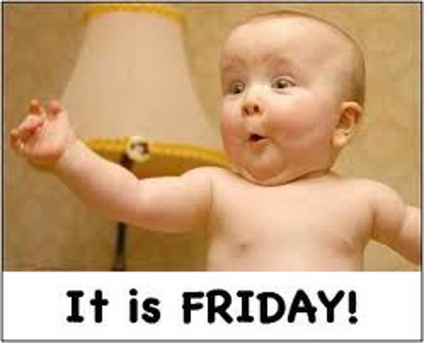 <p>Friday</p>