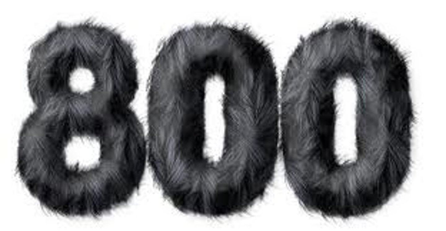 <p>eight hundred</p>