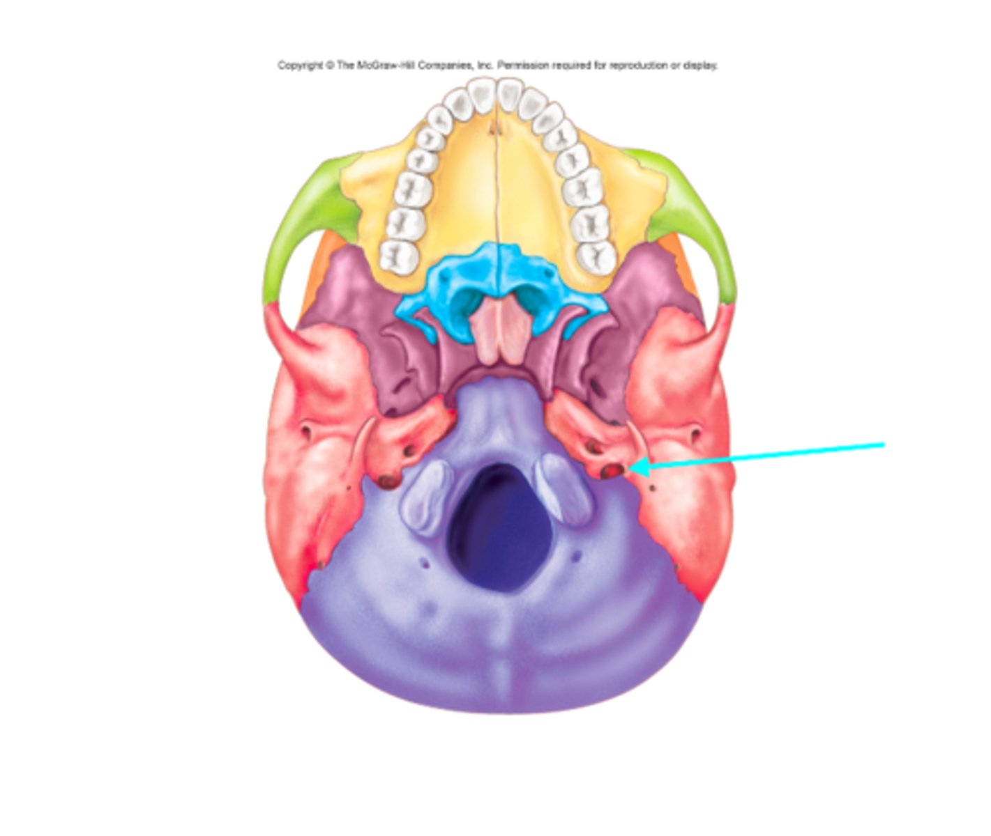 <p>What feature is the blue arrow pointing at?</p>
