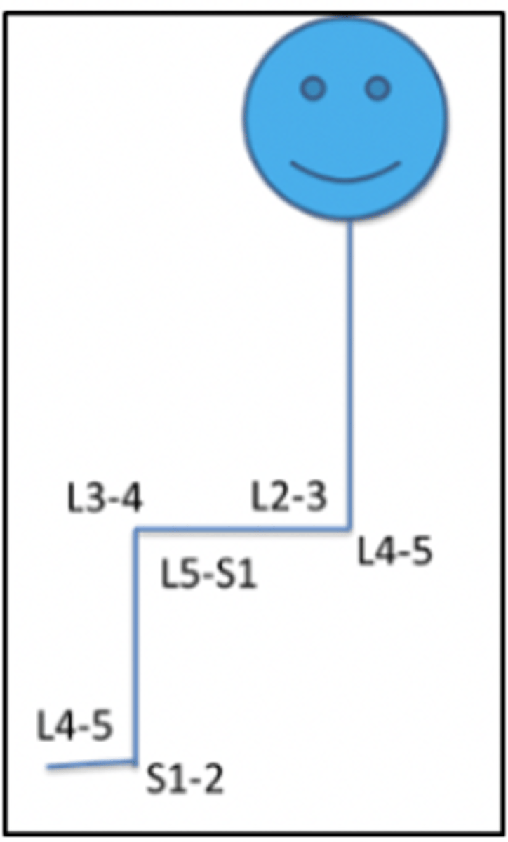 <p>Rationale</p><p>1. L2-L3 sensation is on the lateral thigh (Magee, p. 585).</p><p>2. L3-L4 sensation is on the anteromedial thigh and leg (Magee, p. 585).</p><p>3. L5-S1 sensation is on the lateral foot; muscles controlling hip abduction are innervated at L4-S1 (Magee, p. 585; Drake, p. 575).</p><p>4. S2-S3 sensation is on the plantar foot (Magee, p. 585).</p>