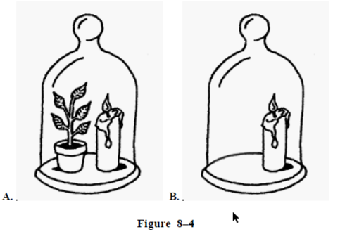 In figure 8-4, why might the candle in jar A burn longer than the candle in jar B?