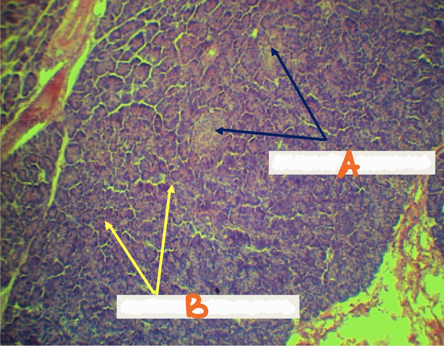 <p>Identify the structure</p>