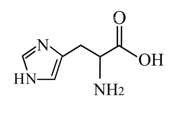 <p>What amino acid is this?</p>
