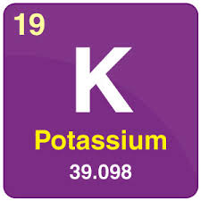 <p>Potassium</p>