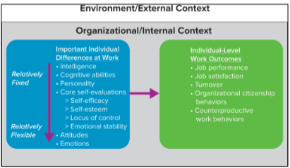<p>Relative Stability of Individual Differences</p>