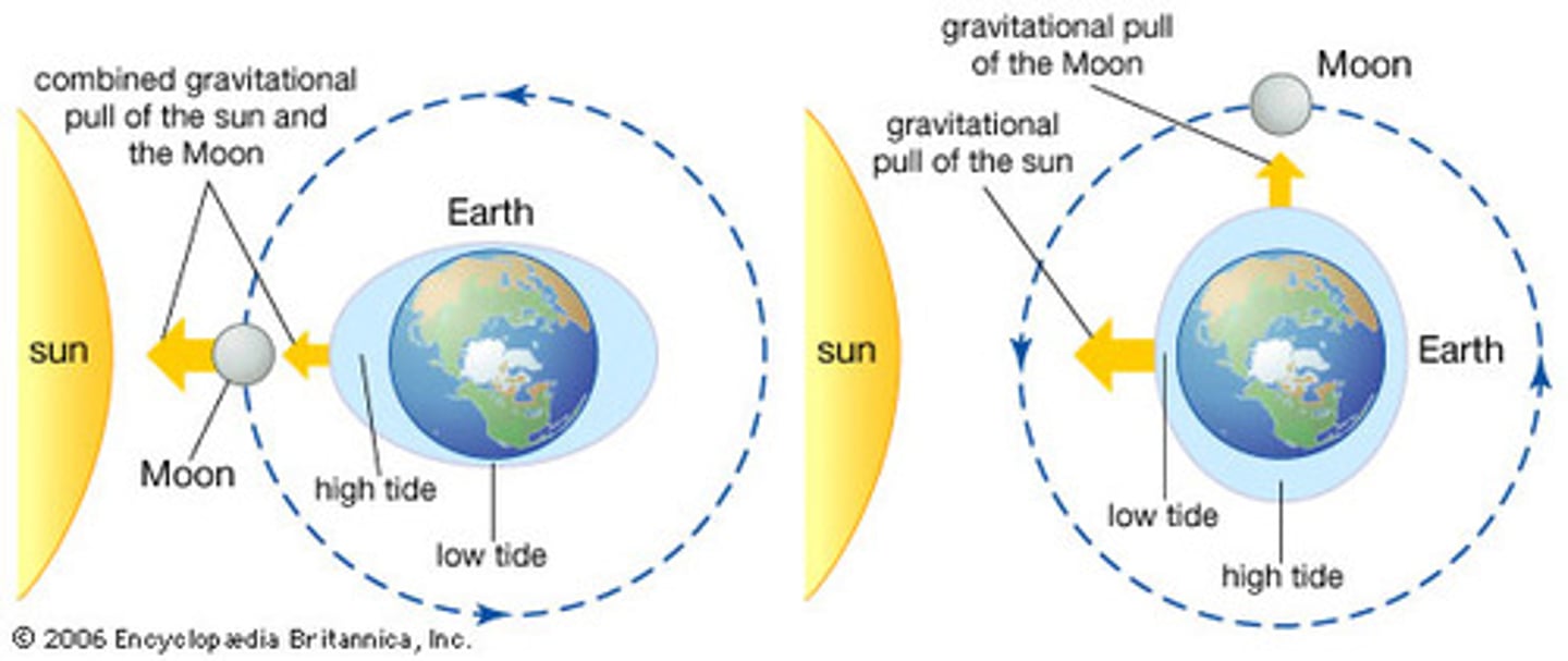 <p>a natural force that pulls two objects toward one another</p>