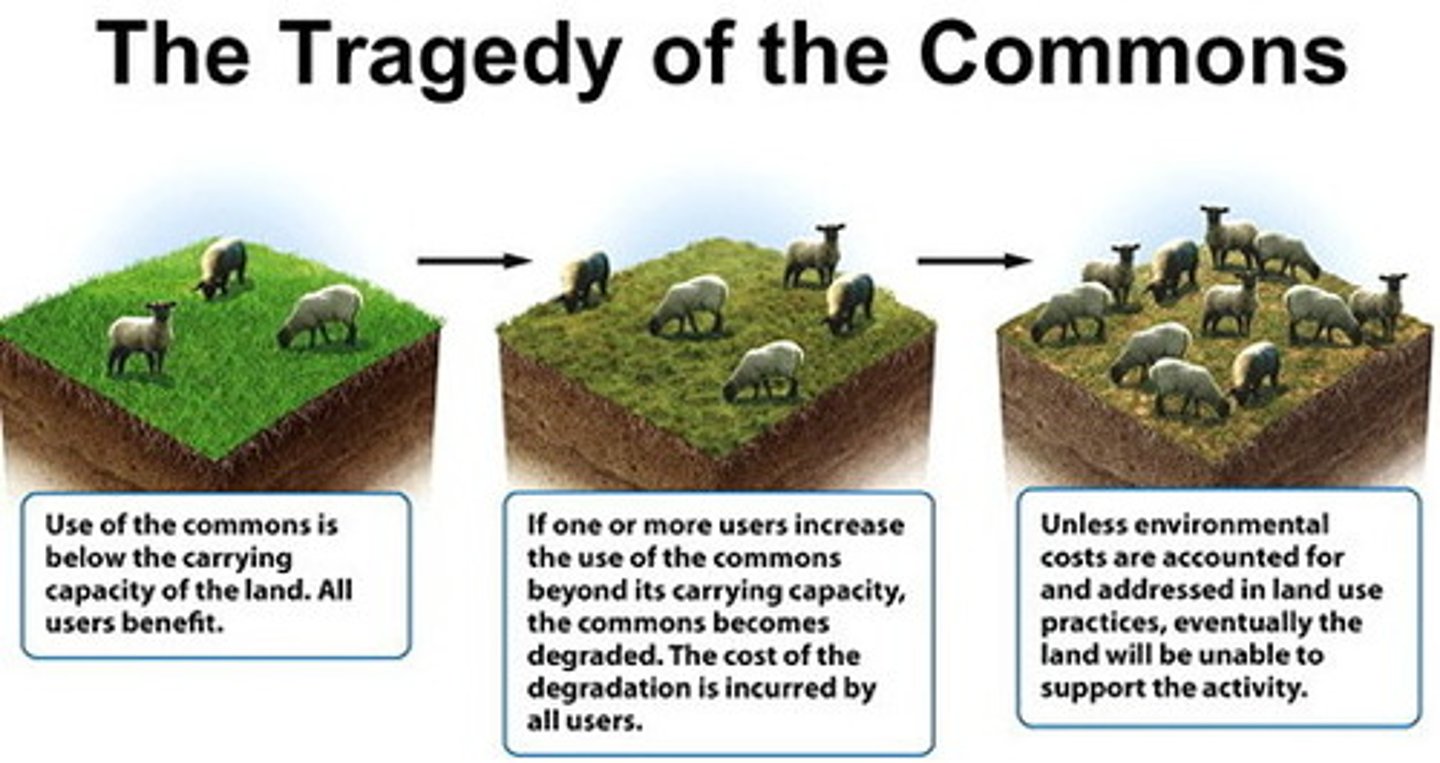 <p>- Privatization (Quotas given to fishers)</p><p>- Regulation (Emissions standards)</p><p>- Market-based approaches (Taxes/Subsidies, ex. Carbon Pricing)</p>