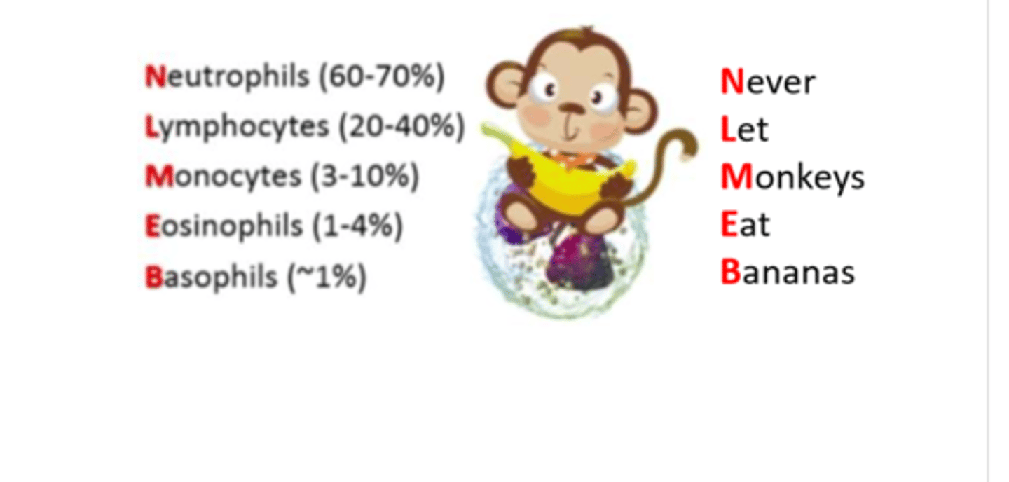 <p>Never Let Monkeys Eat Bananas</p><p>Neutrophils: 60-70%</p><p>Lymphocytes: 20-25%</p><p>Monocytes: 3-8%</p><p>Eosinophils: 2-4%</p><p>Basophils: 0.5-1%</p>