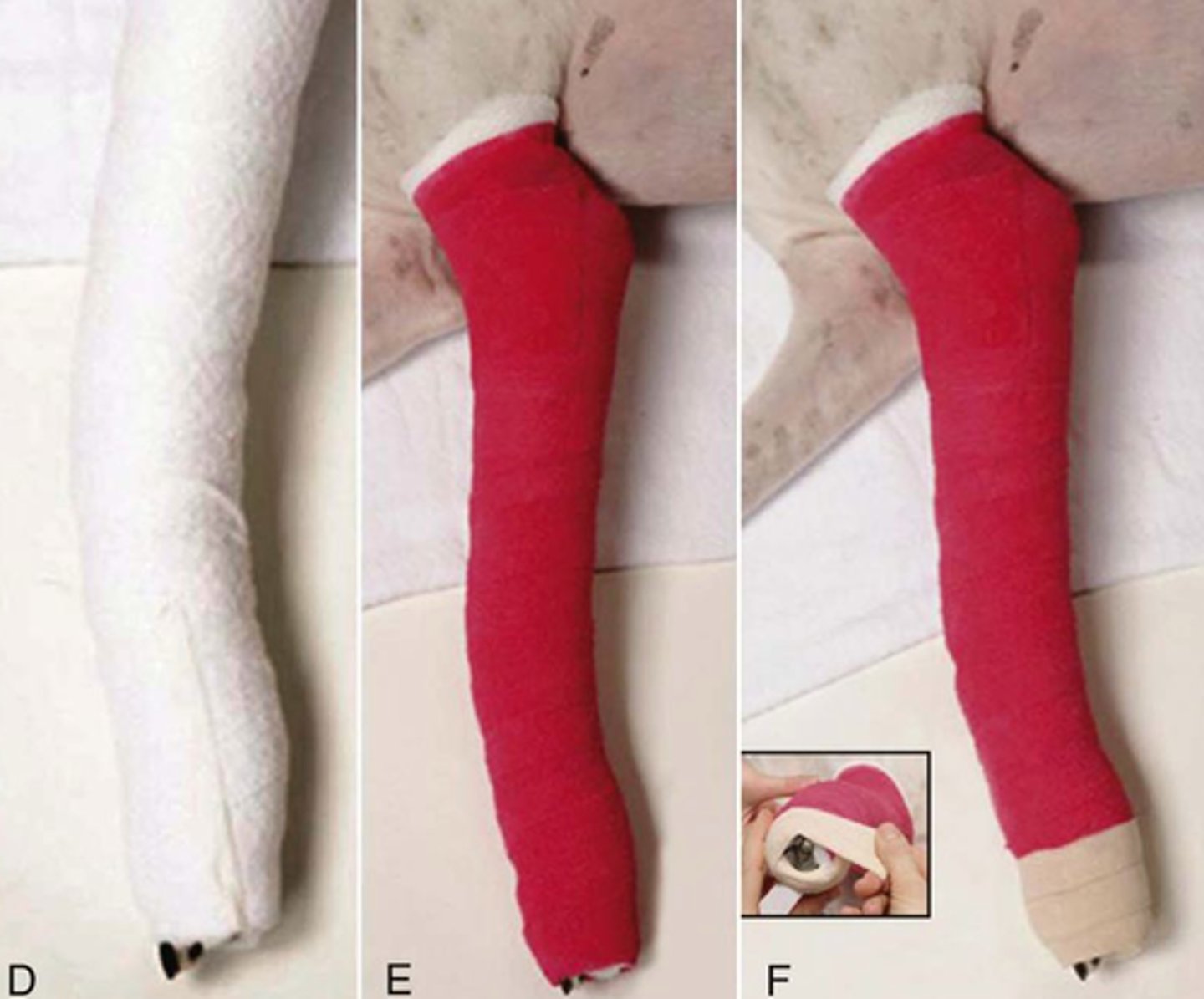 knowt flashcard image