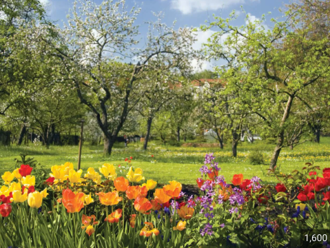 Spring 
