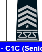 <p>Identify the Cadet Rank and Class Year</p>