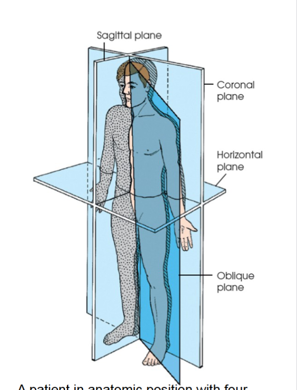 <p>horizontal plane</p>