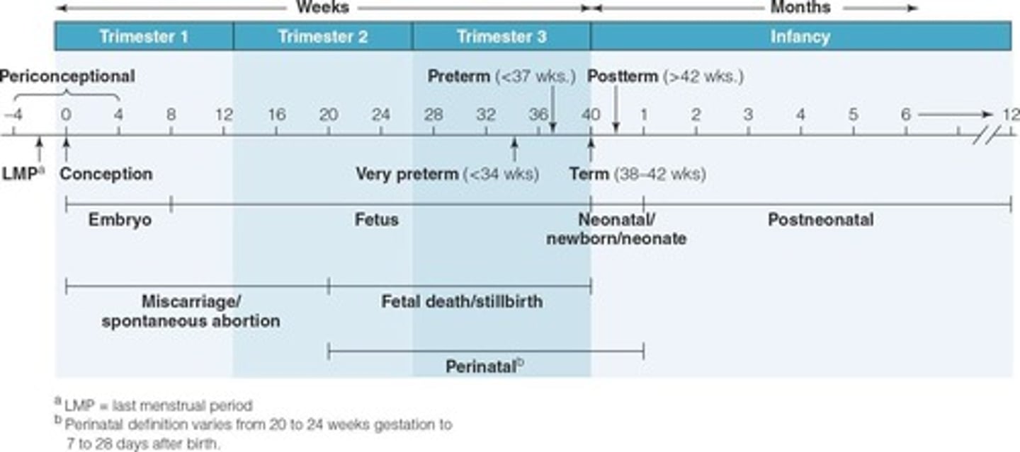 <p>Pregnancy, lasting nine months.</p>