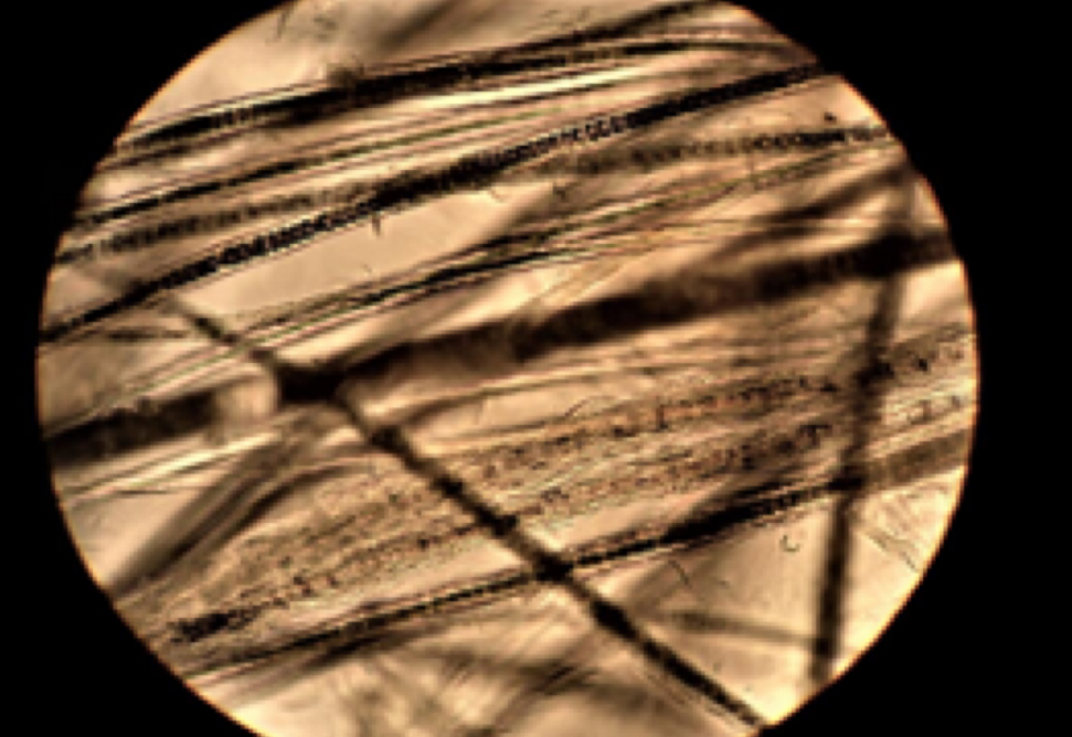 <p>Analyse what is in the photo</p>