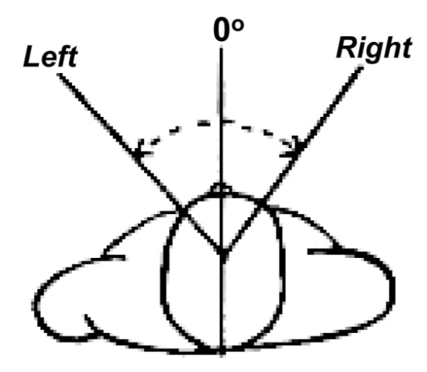 <p>Neck rotation</p>