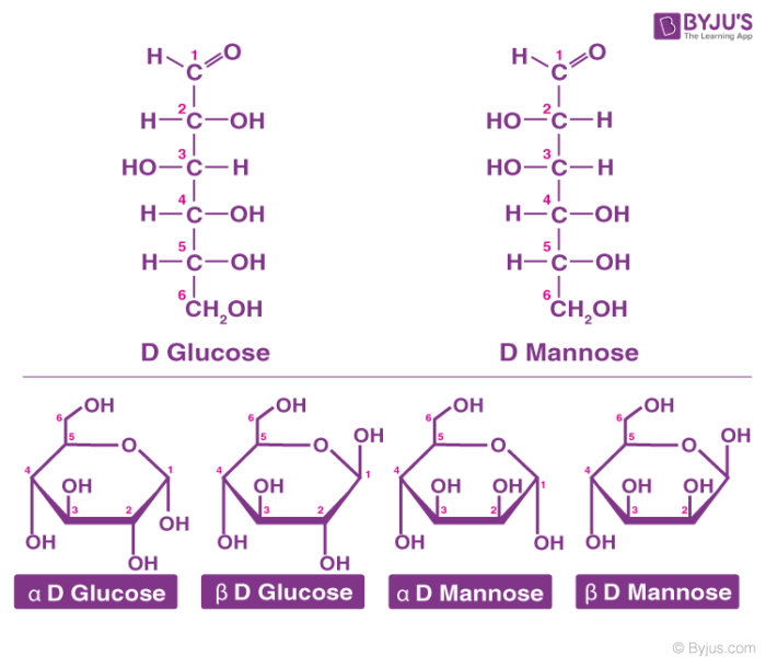 <p><span>• Composed of carbon, hydrogen, and oxygen (CH₂O)n.</span></p><p class="p1"><span>• Commonly referred to as carbohydrates, saccharides, sugars, or glycides.</span></p>