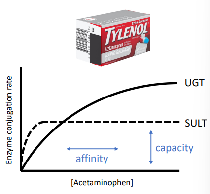 SULT vs UGT

* how does their activity vary at high or low concentrations of drug?
