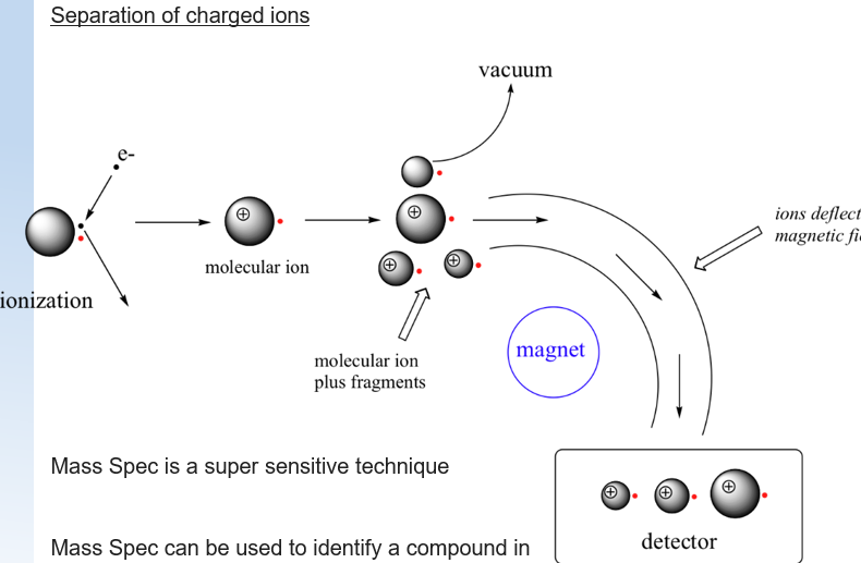 <ul><li><p>HRMS/parent ion peaks - high resolution mass spec </p></li><li><p>fragmentation patterns </p></li></ul><p></p>