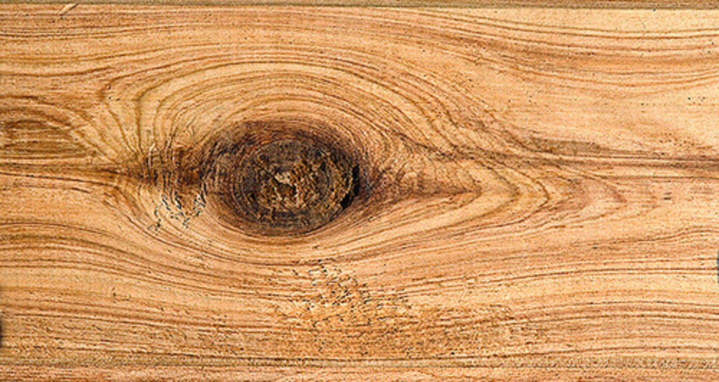 <p>A knot is where a branch would have once been attached to a tree trunk.</p>
