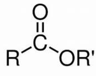 <p>C double bonded to one Oxygen, single bonded to one Oxygen, bonded to a chain.</p>