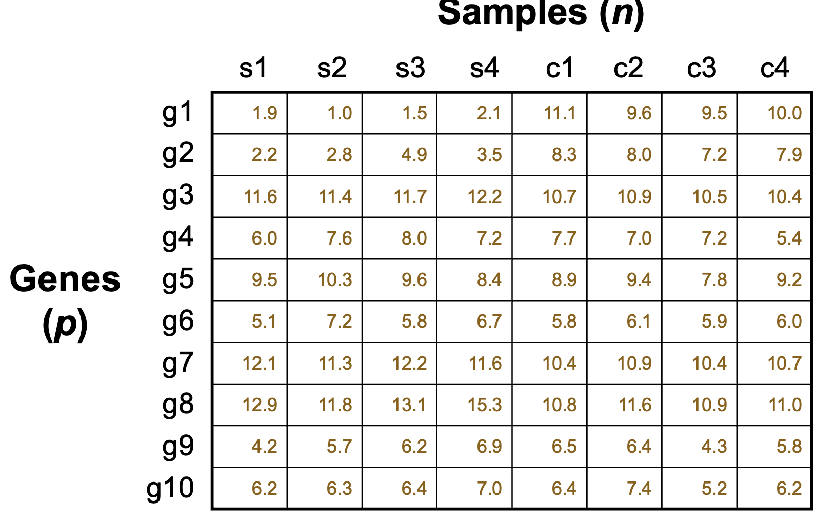 <p>A table-like structure that displays gene expression levels across multiple samples, typically used for analyzing RNA-seq data. It contains rows for genes and columns for samples, allowing comparisons of gene expression profiles among different conditions or time points. </p>