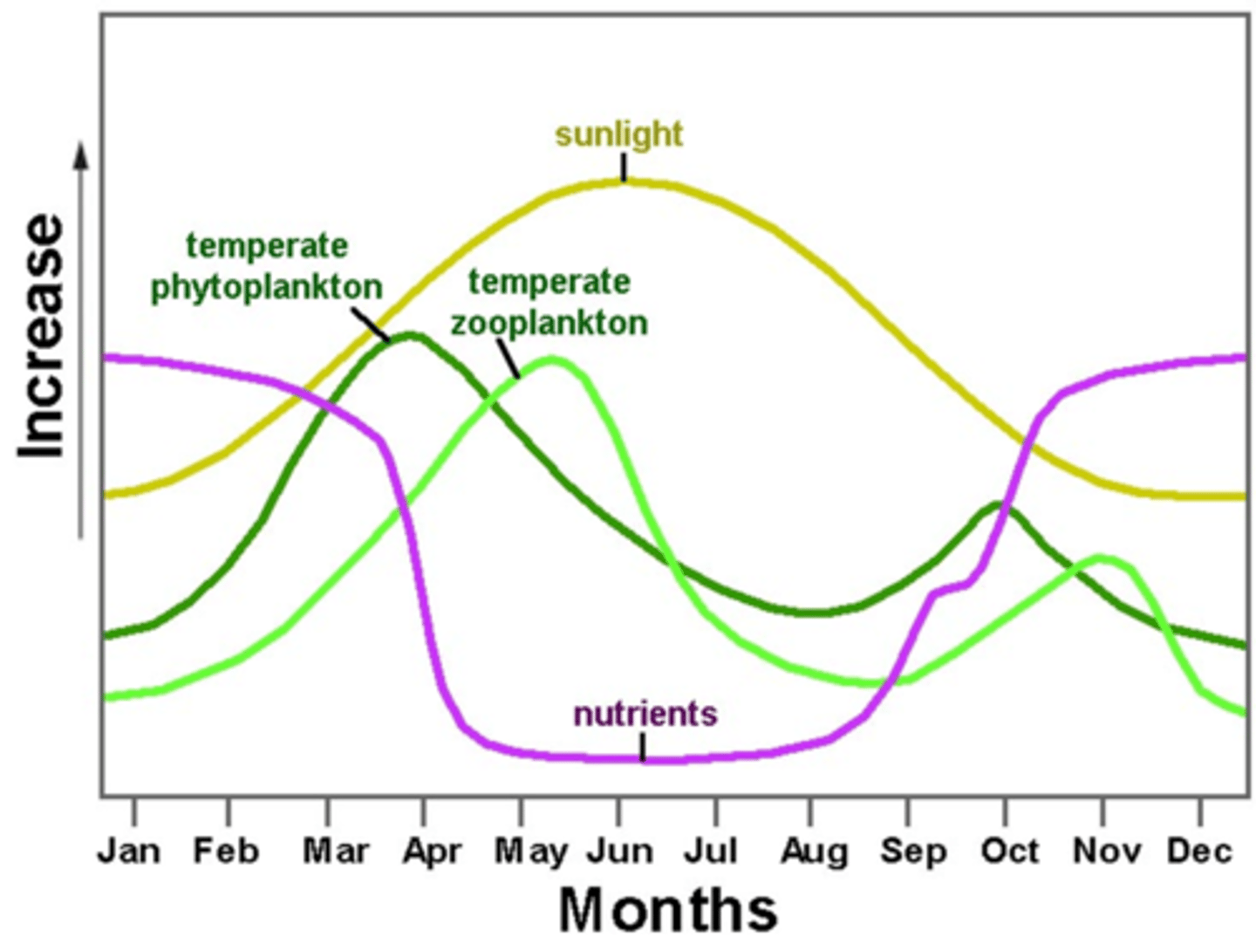 <p>What does this show about zooplankton?</p>