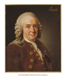 <p>(PHYLOGENETICS) <u>TAXONOMY &amp; PHYLOGENY:</u>&nbsp;What is<strong> LINNAEUS</strong> credited with developing?</p>