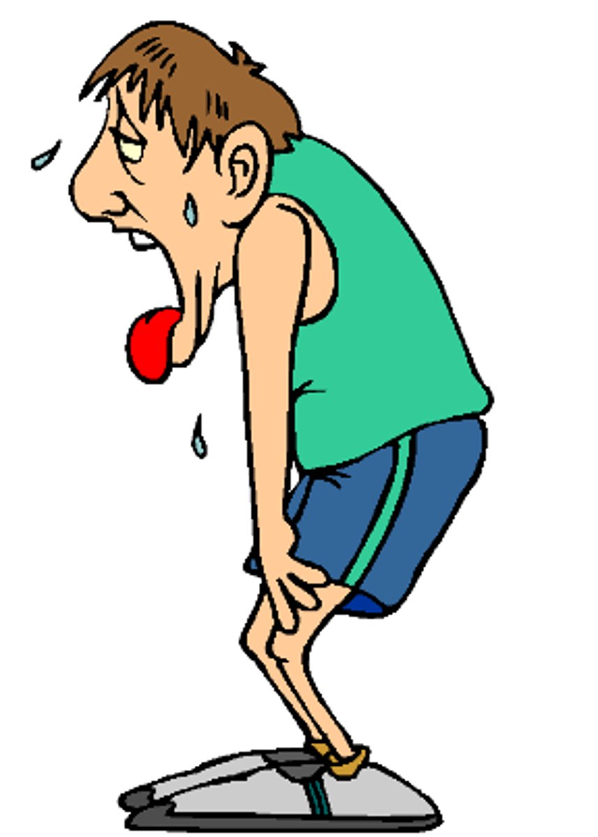 <p>the amount of oxygen required after physical exercise to convert accumulated lactic acid to glucose</p><p><span>The amount of oxygen required to remove the lactic acid, and replace the body's reserves of oxygen, is called the </span><strong>oxygen debt</strong><span>.</span></p>