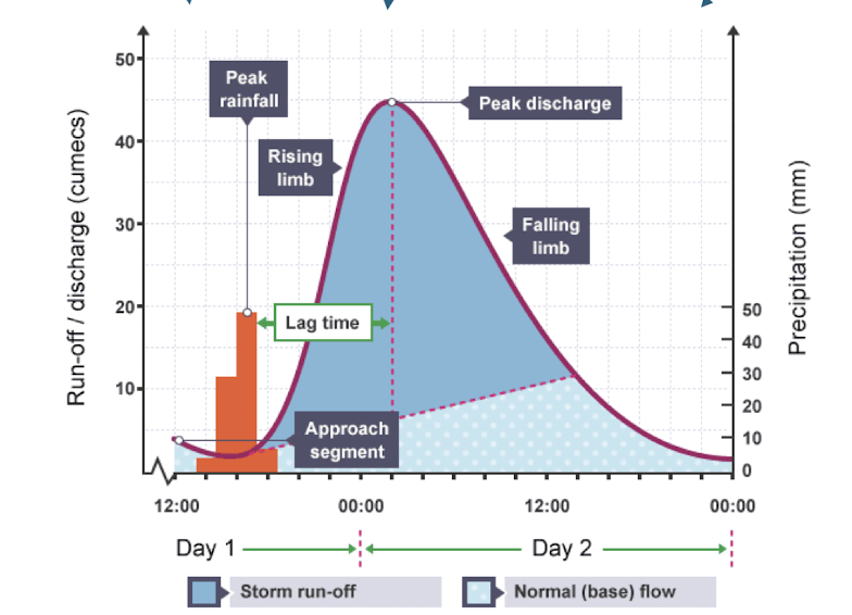 <p>follows discharge over time - can be 1 storm or 1 year</p><p>lag time, flood magnitude, recession timing and R/P all vary on - size, steepness, infiltration, groundwater pathways, wetlands/lakes</p><p>other factors like wet/dry soils, frozen soils, and storm magnitude</p>