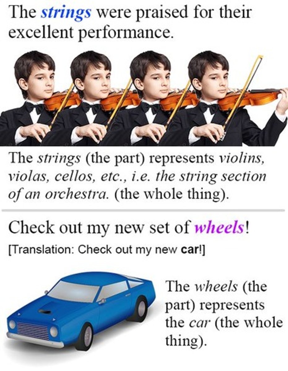 <p>a figure of speech in which a part is made to represent the whole or vice versa</p>
