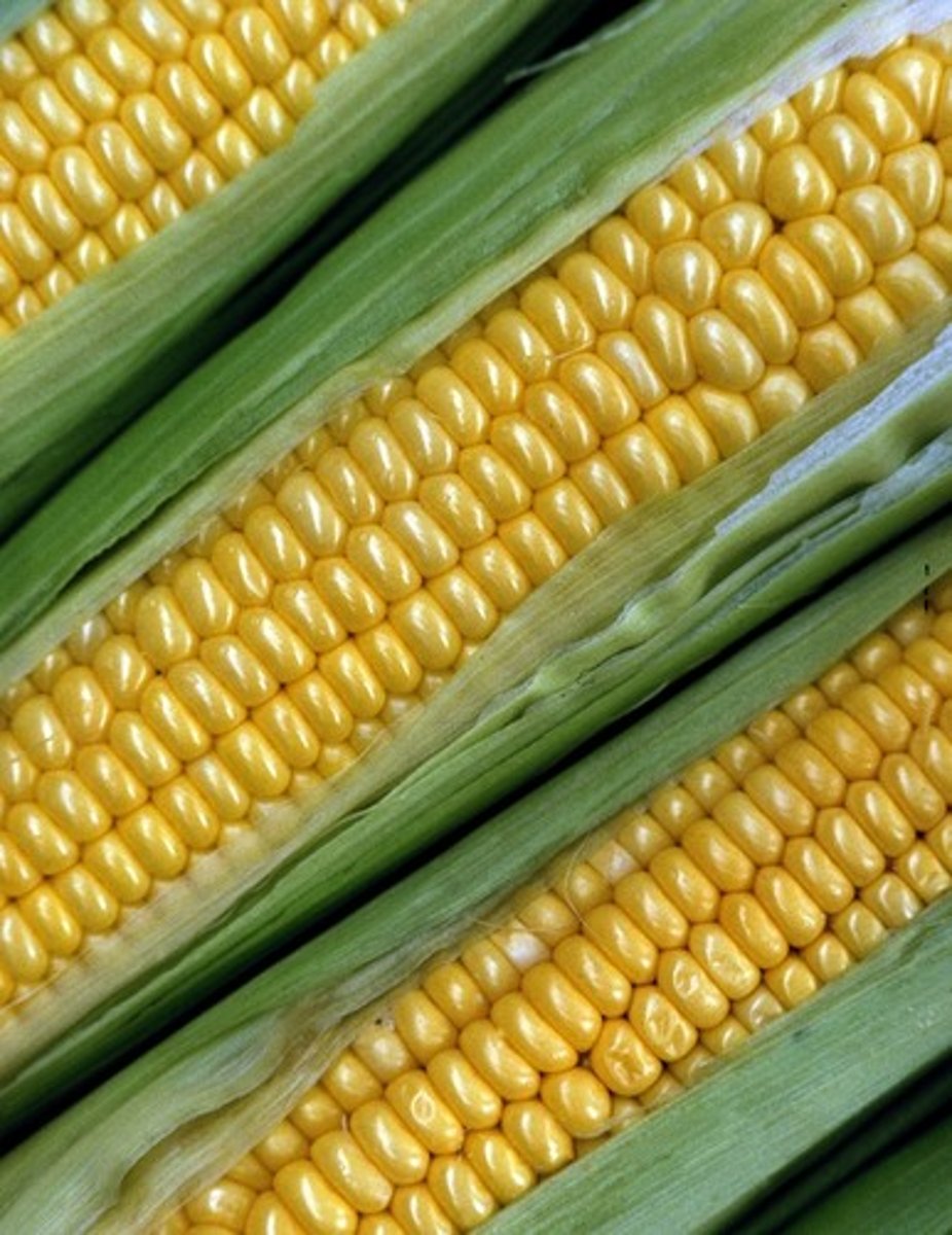<p>-She is the goddess of corn, and the first cornfield began settled life on earth</p><p>-She knows suffering and grief because she is on earth and not on Olympus</p>
