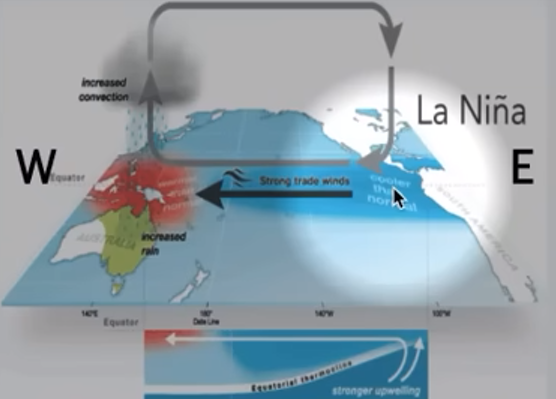 <ul><li><p><strong>stronger than normal trade winds (W,←E)</strong></p></li><li><p><strong>increasing upwelling </strong>off SA coast brings cooler than normal conditions</p><ul><li><p>better fisheries </p></li><li><p>worst tornado activity in the US and hurricane activity in the Atlantic</p></li></ul></li><li><p>warmer and higher precip in Aust and SEAS</p></li></ul><p></p>